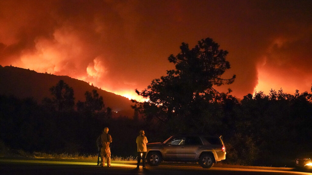 "From Spark to Inferno: Decoding the Triggers and Spread of Wildfire"