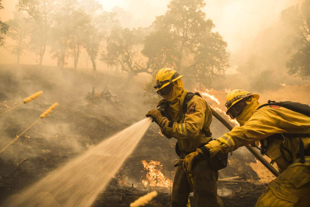 "From Spark to Inferno: Decoding the Triggers and Spread of Wildfire"