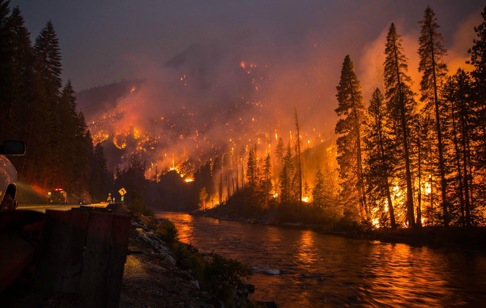 "From Spark to Inferno: Decoding the Triggers and Spread of Wildfire"