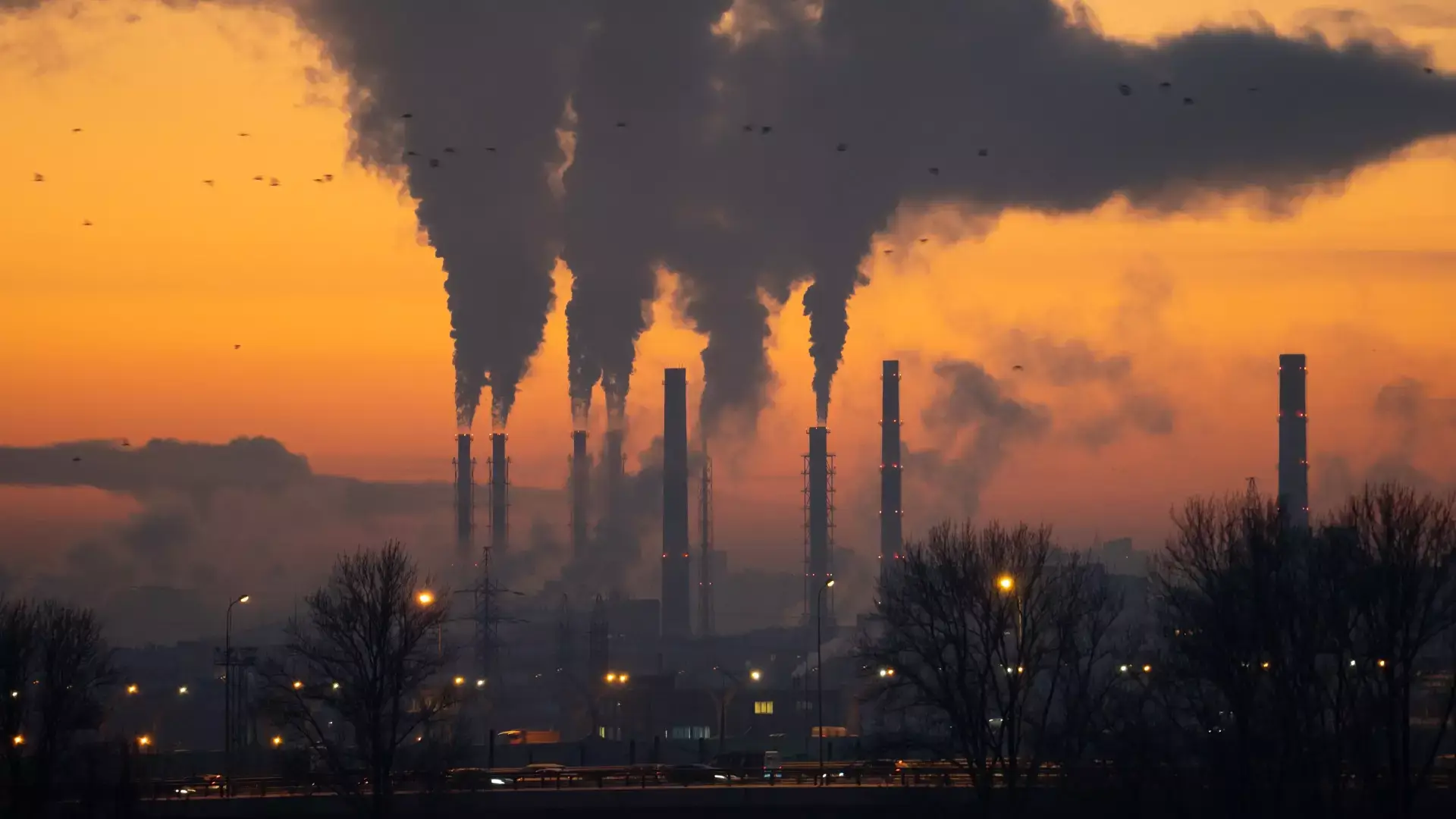 Understanding Pollution Types, Impacts, and Solutions for a Sustainable Future