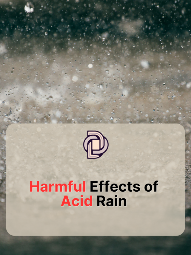 “Understanding Acid Rain: Causes, Effects, and Sustainable Solutions”