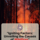 “From Spark to Inferno: Decoding the Triggers and Spread of Wildfire”