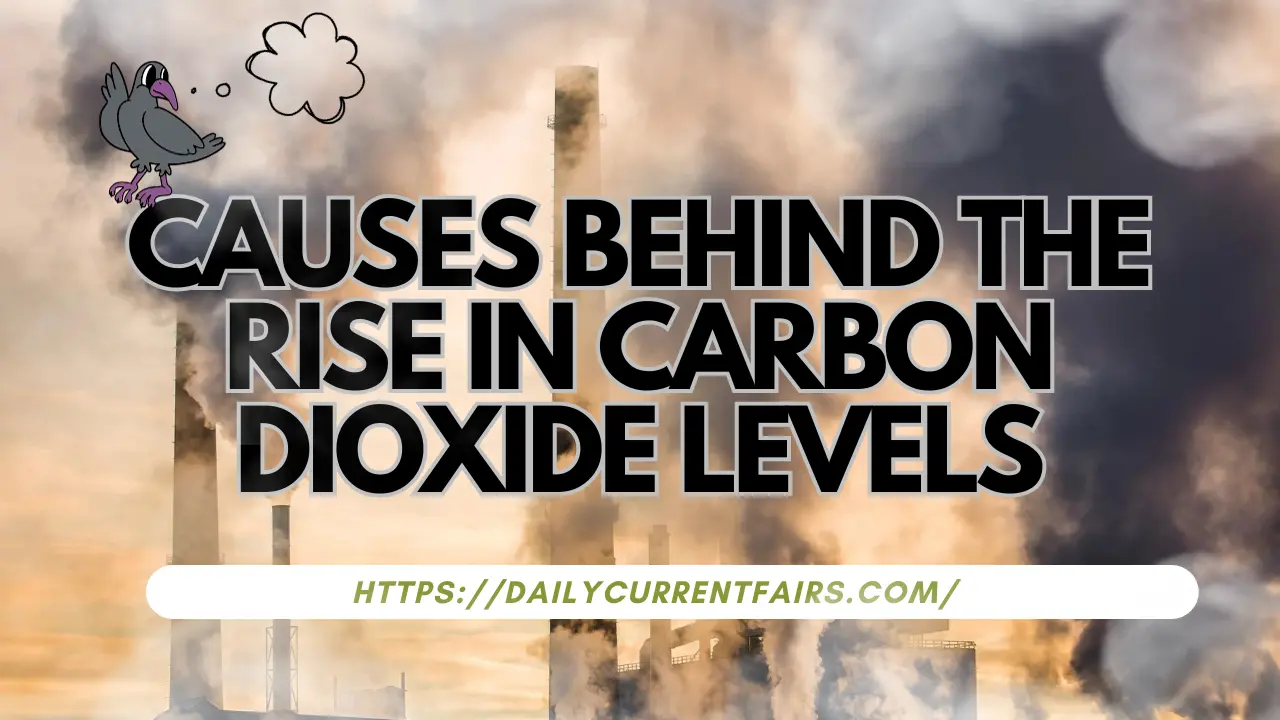 Understanding the Causes Behind the Rise in Carbon Dioxide Levels